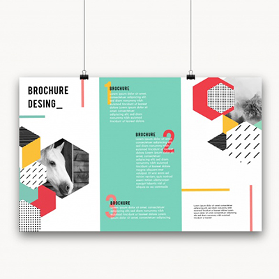 Địa Chỉ Thiết Kế Brochure Giá Rẻ Tại Tp. Hồ Chí Minh 2 thiet ke brochure gia re 1 1