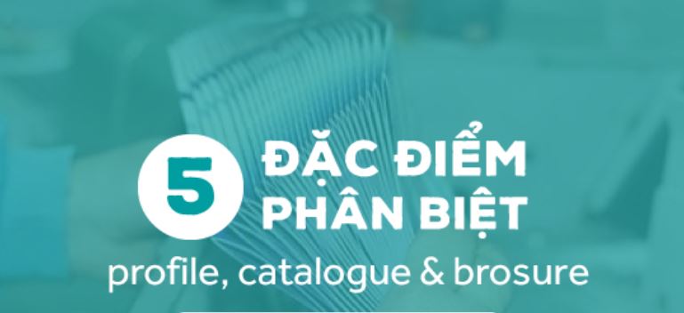 Phân Biệt Thiết Kế In Catalogue, Profile Và Brochure Như Thế Nào? 55 in-Catalogue-gia-re, in-Profile-ho-chi-minh, in-Brochure-theo-yeu-cau, in-Catalogue-o-dau, gia-in-Catalogue
